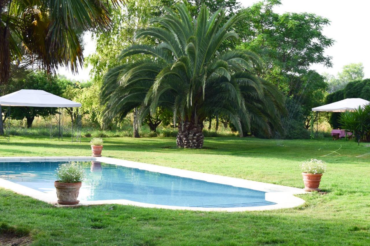 Finca El Consul 洛格罗尼奥 外观 照片